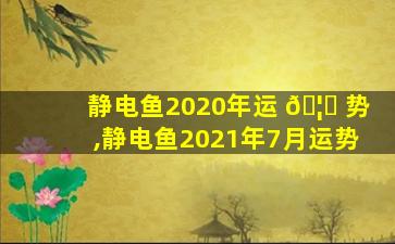 静电鱼2020年运 🦉 势,静电鱼2021年7月运势